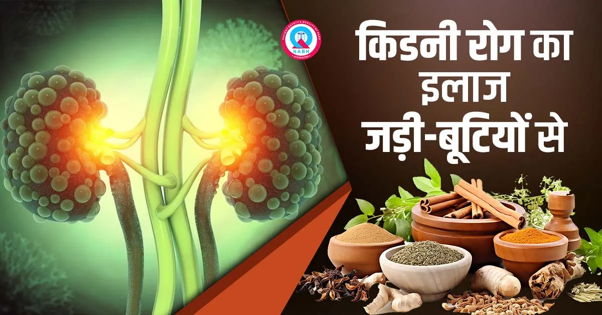 किडनी-रोग-का-इलाज-जड़ी-बूटियों-से